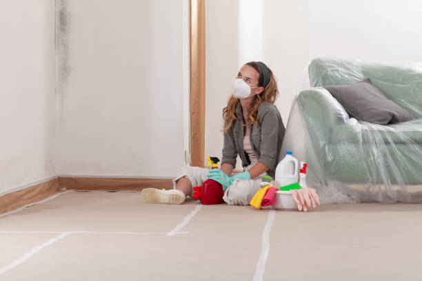 Reliable Basement Mold Remediation contractor in Radcliff, KY by 24 Hour Mold Removal